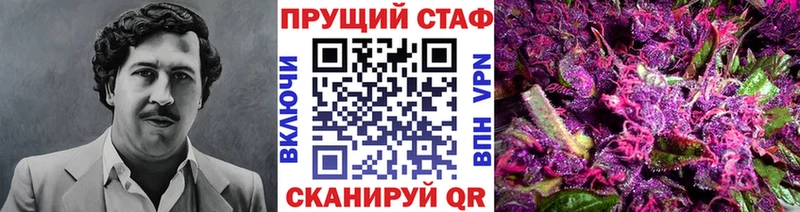 Наркотические вещества Яхрома Каннабис  МЕФ  Cocaine  Псилоцибиновые грибы  ГАШИШ 