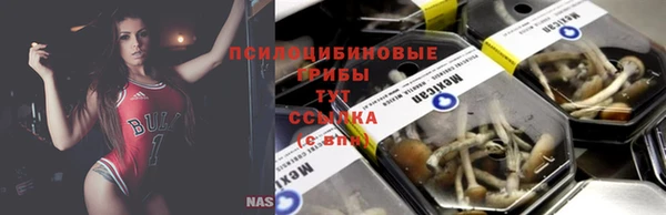 мяу мяу кристалл Алексин