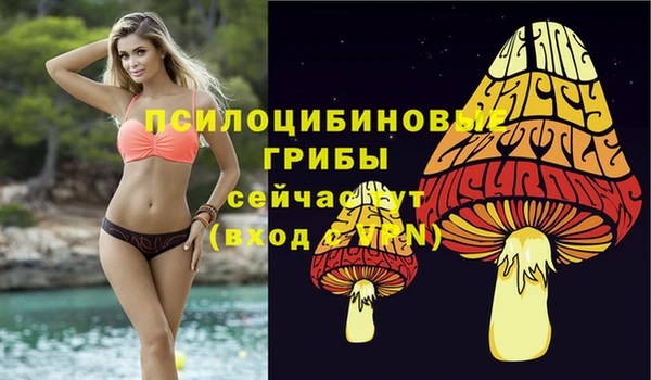 соль курить ск Алзамай