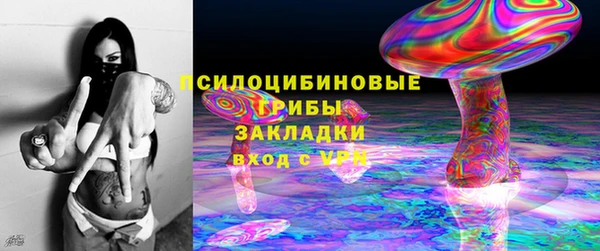 PSILOCYBIN Алексеевка