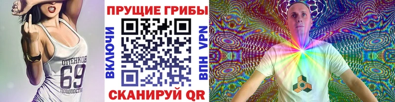 гидра зеркало  Яхрома  Псилоцибиновые грибы прущие грибы 